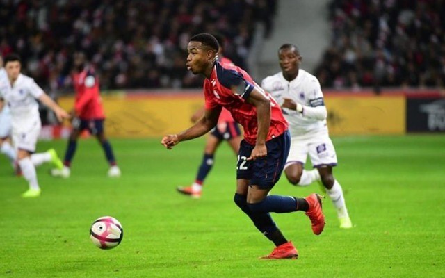 可持续的旅 可持续的旅